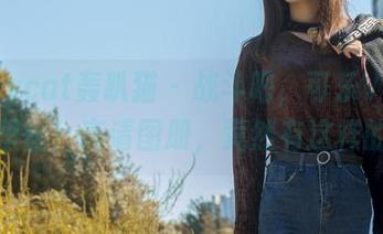 partycat轰趴猫 - 战斗吧，可乐Vicky的裤里丝！高清图册，竟然有这样的反转