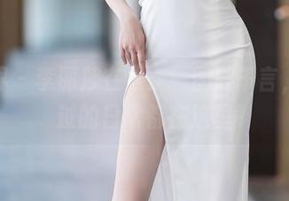 语画界 - 李丽莎在线：一图胜千言，没见过的日常都在这里
