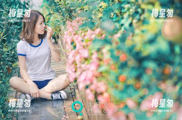 青豆客 - 没有圣光的浆果，Cheryl青树和她的套装有何不同？-梅星匆